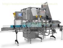 【WL-FGZ-200直線粉劑灌裝機】全解析 技術、品牌與市場供應指南